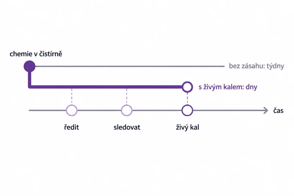 Grafika časové osy obnovy biologie domovní ČOV po chemii: ředění, sledování, naočkování živým kalem